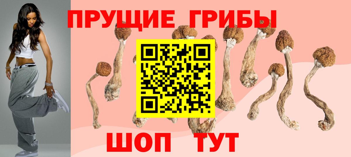 Галлюциногенные грибы MAGIC MUSHROOMS  Вход с VPN  Полысаево  Галлюциногенные грибы Psilocybe 