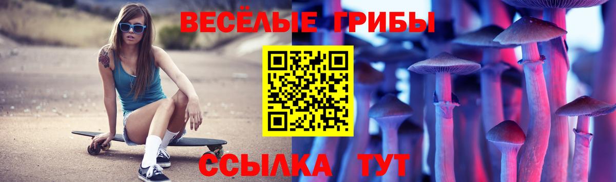 Галлюциногенные грибы Psilocybe Полысаево